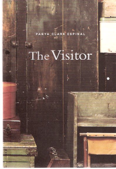 Image for Panya Clark Espinal - The Visitor: Oakville Galleries 21 April - 10 June 2001