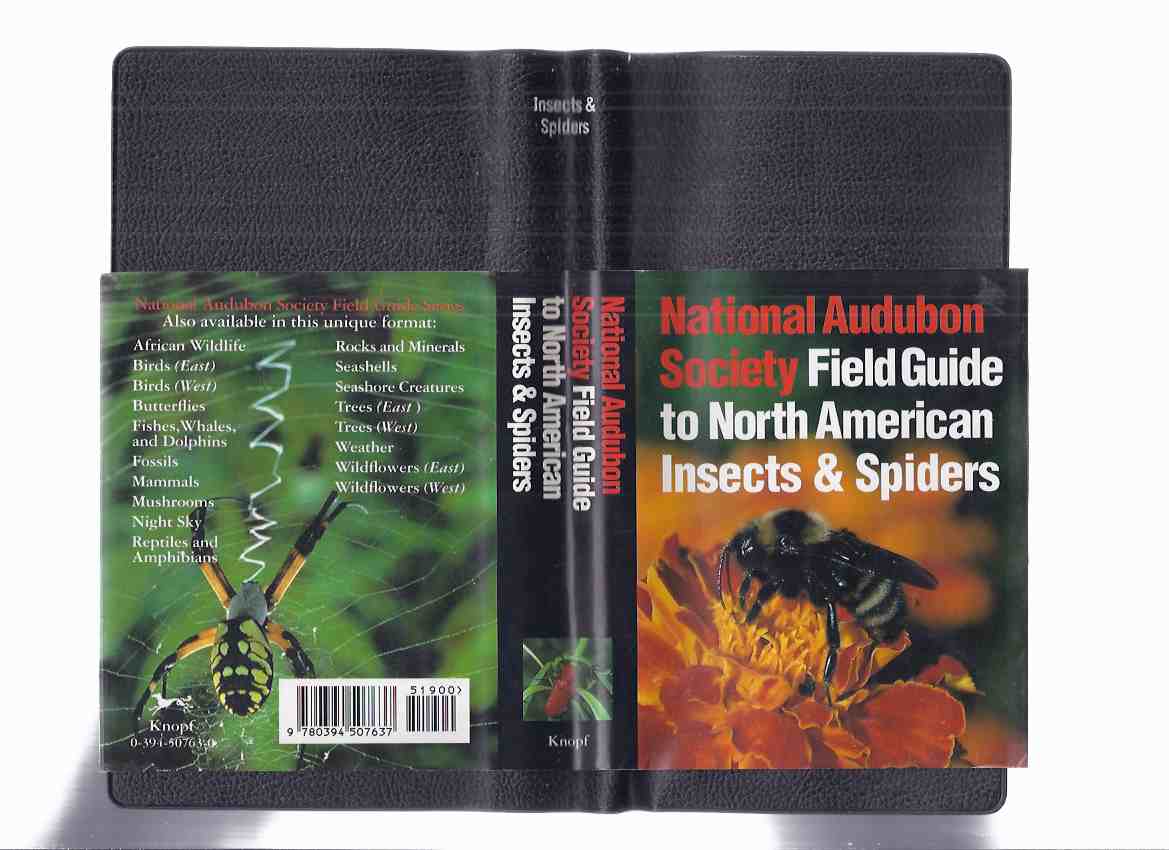 Image for The Audubon Society Field Guide to North American Insects and Spiders (more Than 600 Insects and Spiders with Over 700 Color Photographs, Plus Notes on 250 Others )( Bees, Flies, Dragonflies, Moths, Butterflies, Beetles, Grasshoppers, etc)