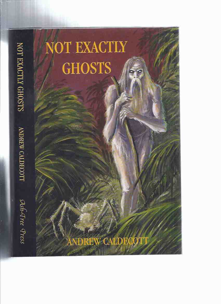 Image for Not Exactly Ghosts: Collected Weird Tales -by Andrew Caldecott / Ash Tree Press ( inc. Room in a Rectory; Decastroland; Christmas Re-union; FIRES BURN BLUE, etc)