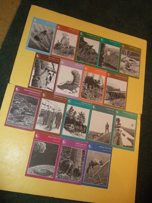Image for 17 Algonquin Park Trail Guides: Whiskey Rapids; Hardwood Lookout; Mizzy Lake; Peck; Track & Tower; Hemlock Bluff; Bat; Two Rivers; Centennial Ridges; Big Pines; Booth's Rock; Spruce Bog; Beaver Pond; Berm Lake; Brent Crater; Barron Canyon; Lookout