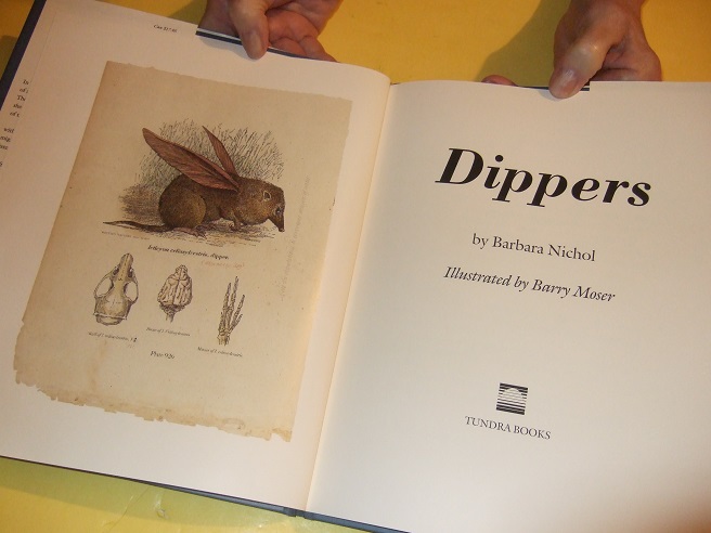 Image for Dippers -by Barbara Nichol -a Signed Copy