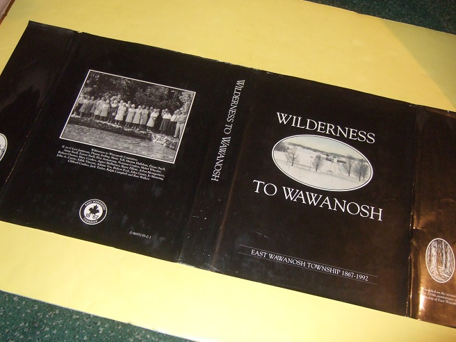 Image for Wilderness to Wawanosh: East Wawanosh Township 1867-1992 ( Compiled on the Occasion of the 125th Anniversary of the Township of east Wawanosh )( Ontario Local History )