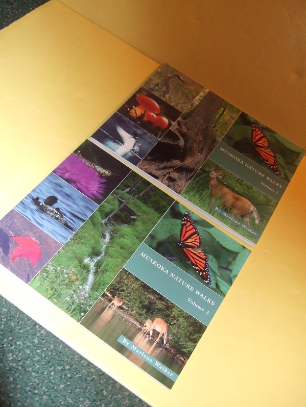 Image for TWO VOLUMES:  Muskoka Nature Walks, Book 1 & 2 -by Marlene Walker -both Signed By the Author ( Natural History / Ontario )