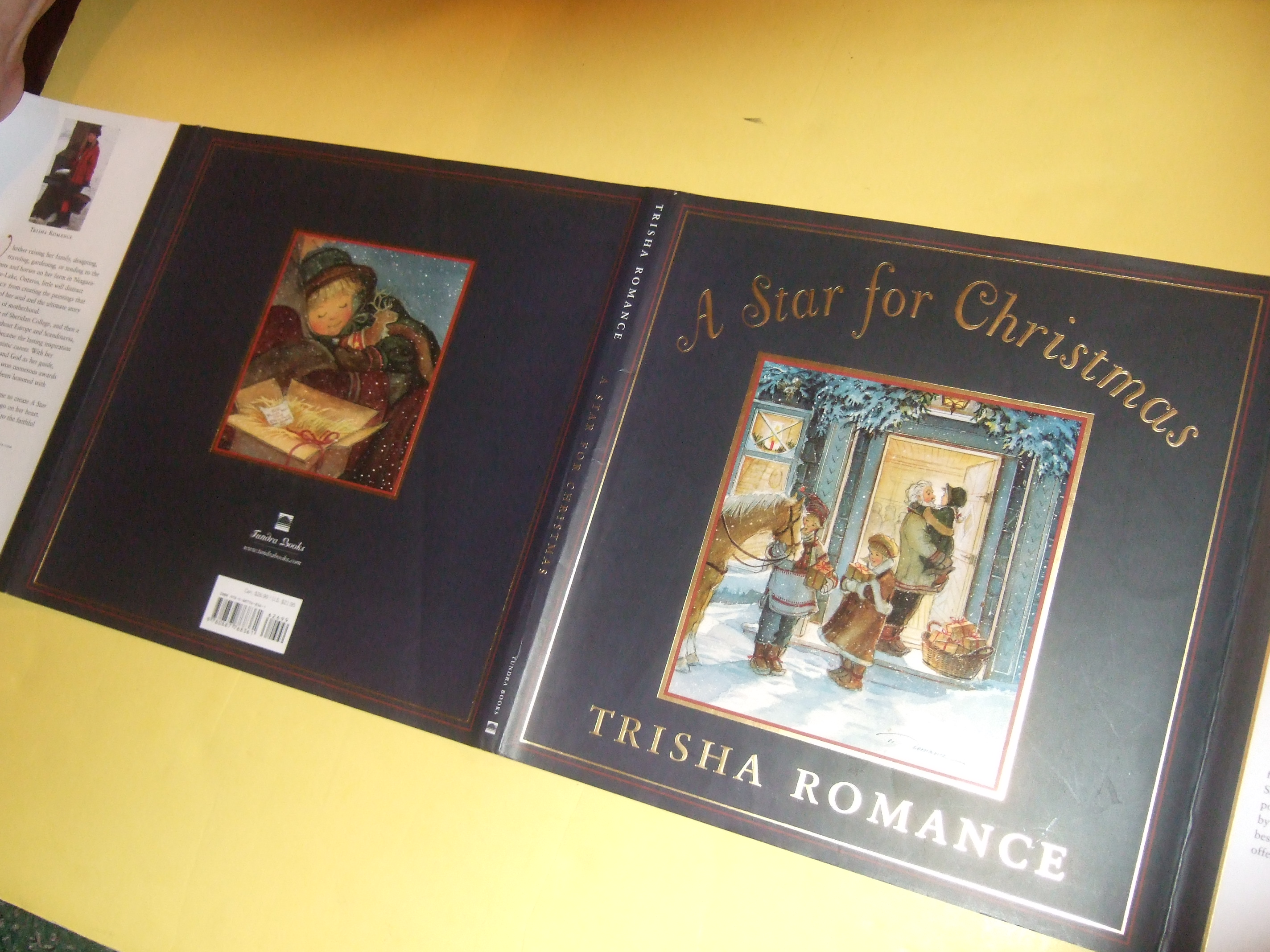 Image for A Star for Christmas ---by Trisha Romance -a Signed Copy  ( Illustrator and Story )